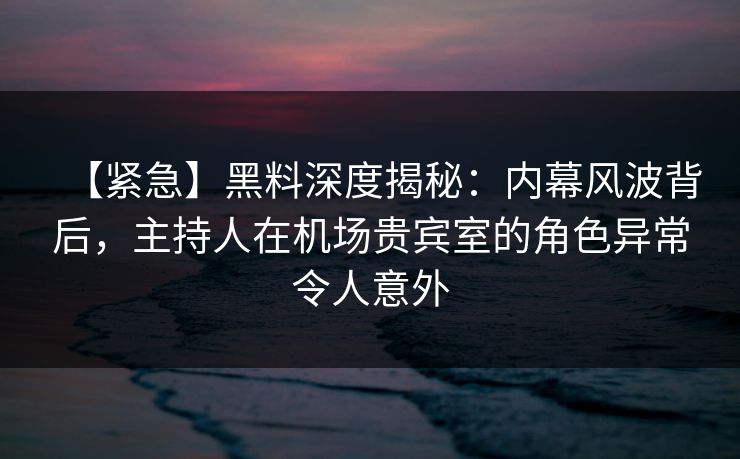 【紧急】黑料深度揭秘：内幕风波背后，主持人在机场贵宾室的角色异常令人意外