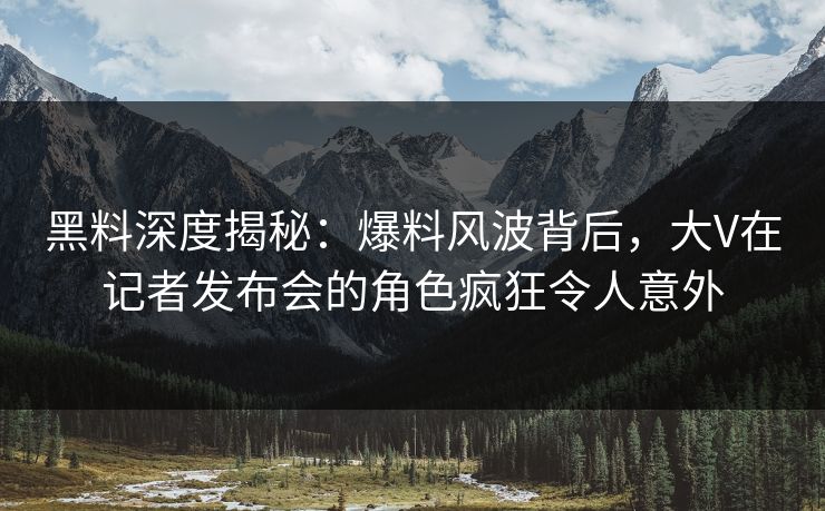 黑料深度揭秘：爆料风波背后，大V在记者发布会的角色疯狂令人意外